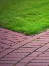 Edged Walkway With Nice Lawn Perfectly Edged Red Brick Walkway With Manicured Lawn