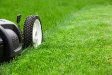 Mower Cutting Green Lawn