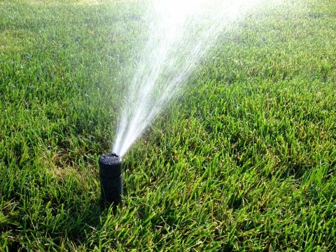 Sprinkler Watering Green Lawn