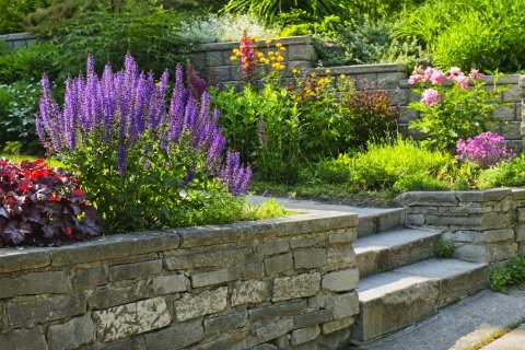 Custom Designed Stone Wall Garden Bed Full Of Flowers With Stone Steps.