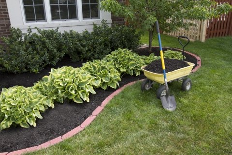 Garden Bed With Red Stone Edging And Wheelbarrow With A Shovel.