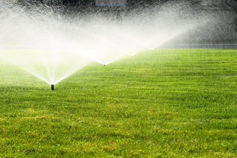 Sprinkler System Watering Green Lawn