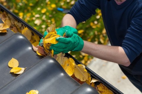 Person Wearing Green Gloves Clearing Yellow Leaves From Gutter