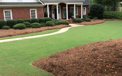 Preserve Your Lawn This Winter