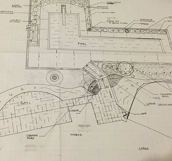 Custom Designed Landscaping Design Drawing With Patio, Pool, Shrubs, And Flowers Depicted