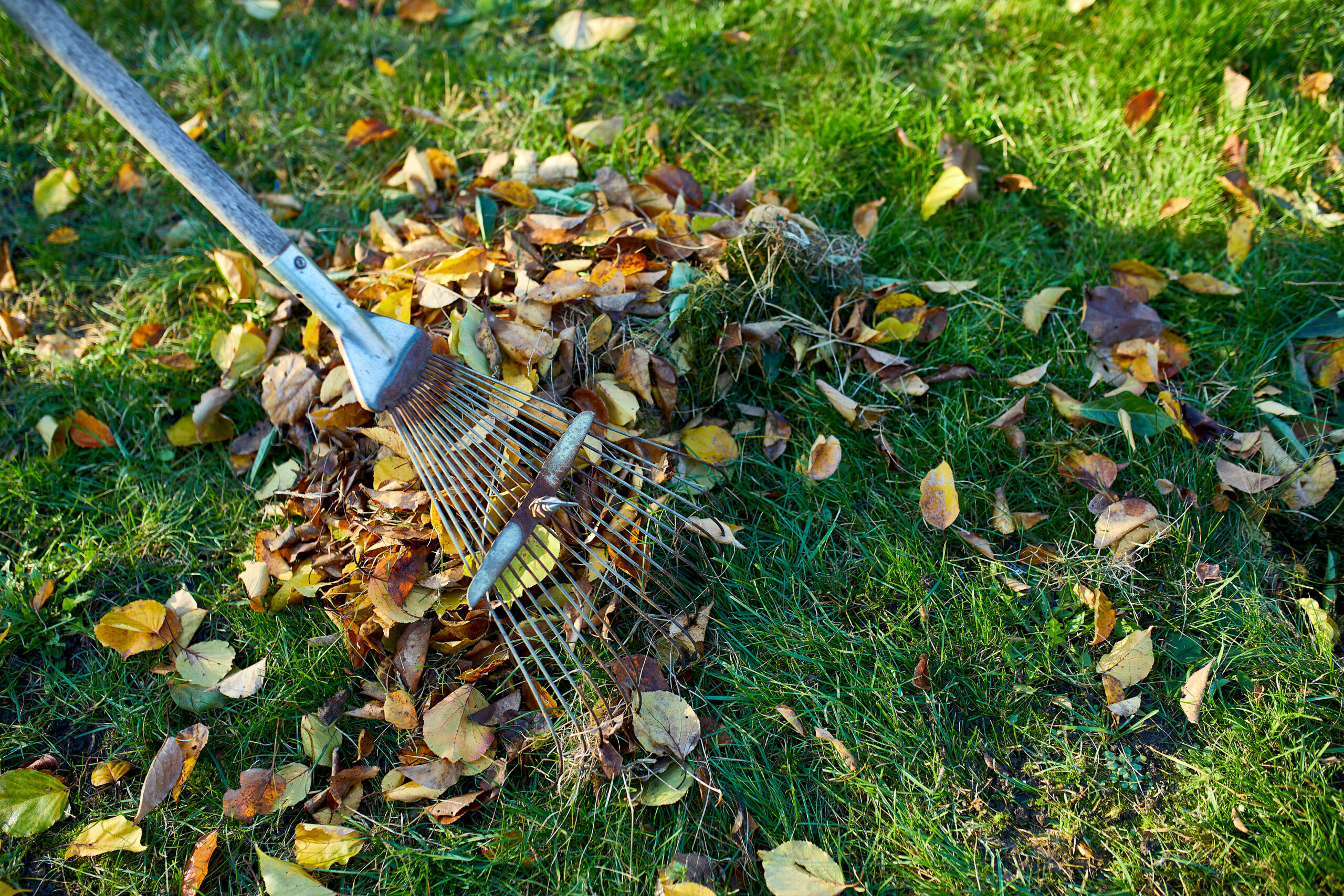 fall-landscaping-tips-can-you-landscape-in-the-fall-gw