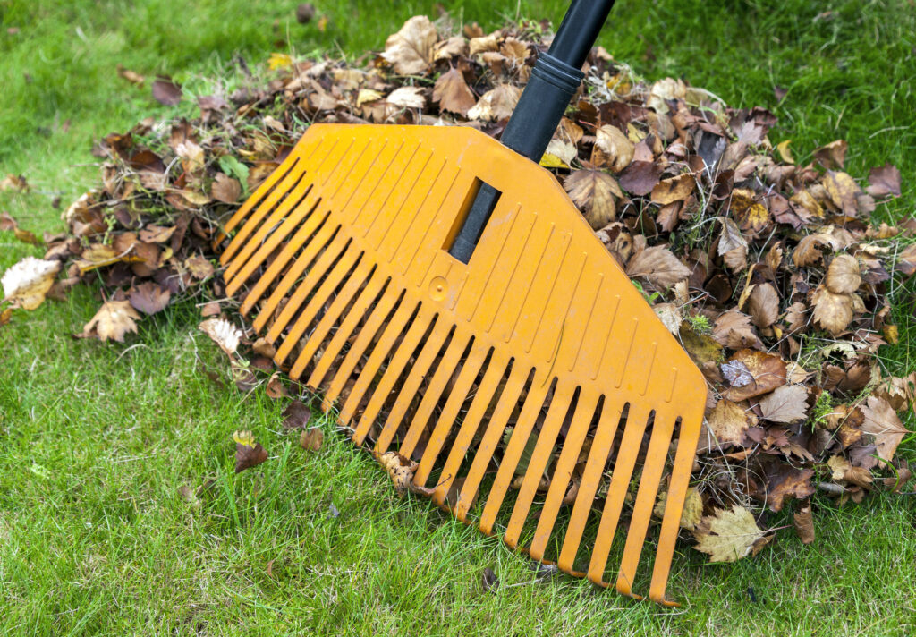 The Role of Fallen Leaves in Your Fall Landscaping